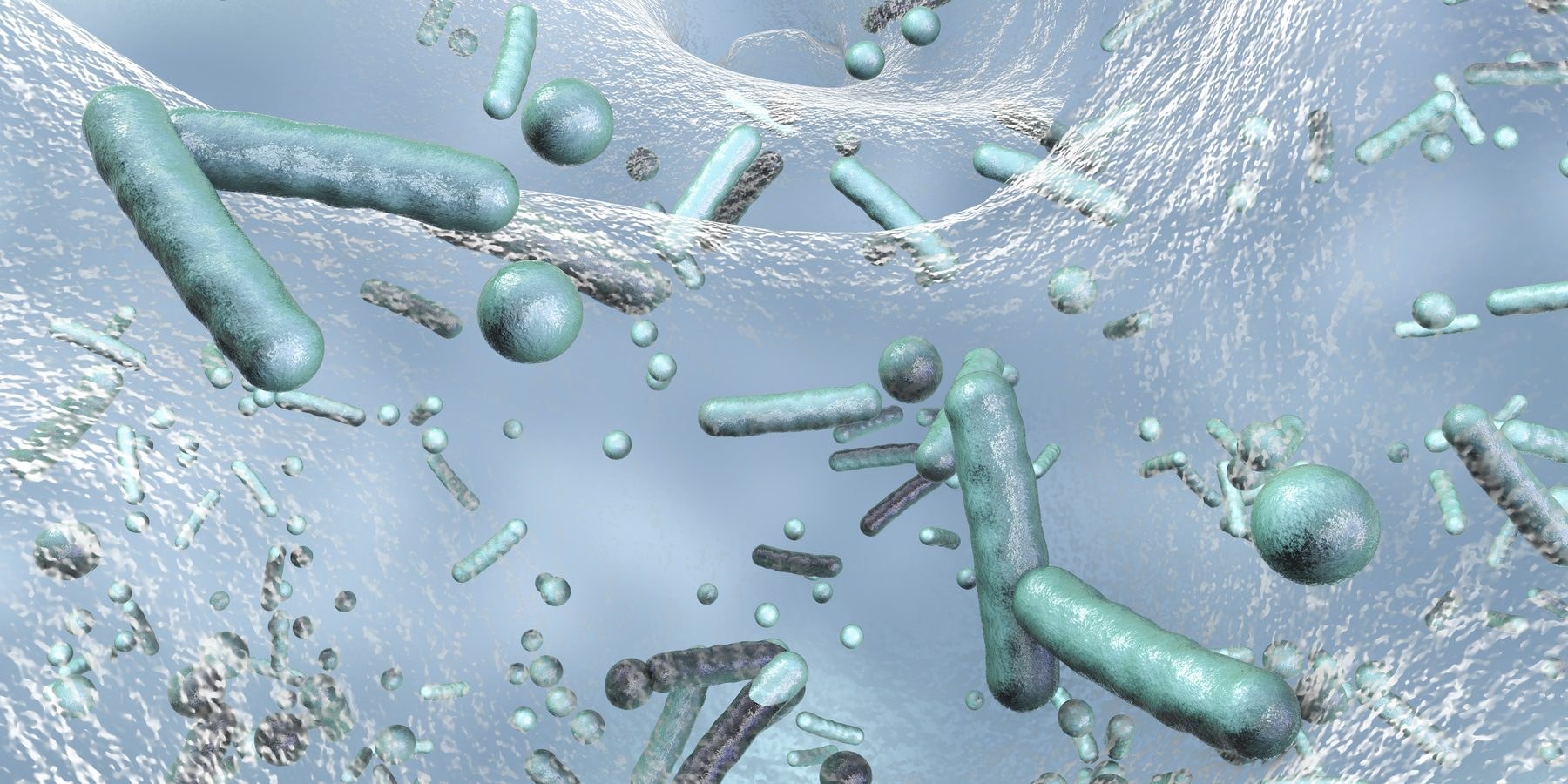 Microbiologische analyse van bacteriën in water