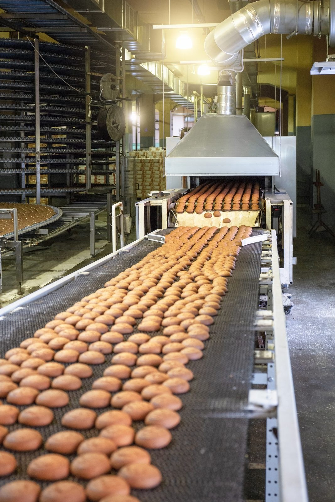 Industrial bakery production line