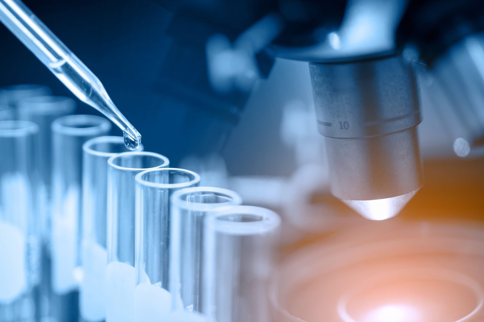 Laboratory analysis