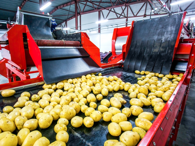 Disinfection of process water in food industry